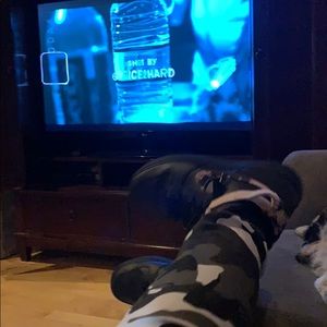 Meet your Posher, Nicolas